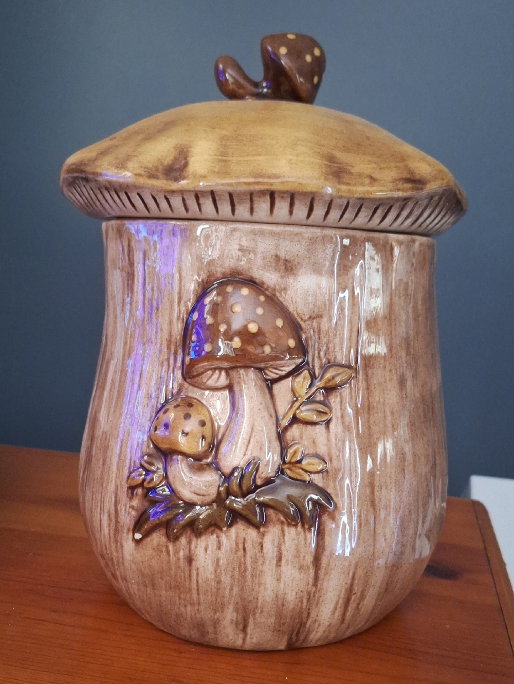 Handcrafted Brown Mushroom Canister - Home Art Larger Canister Aoprox 10 1/2 Tal